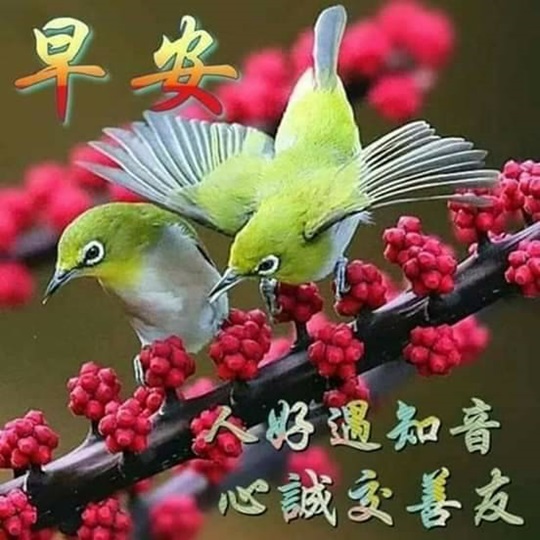按我可連結至更清楚的圖片
